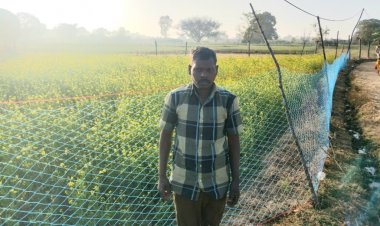 *कृषक बलदेव राजवाड़े को प्रधानमंत्री धन धान्य कृषि योजना का मिला लाभ,सरसों की अच्छी खेती से किसान खुश*