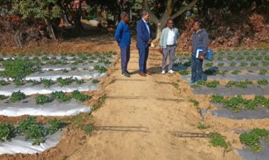 *प्रधानमंत्री धन धान्य कृषि विकास योजना के केंद्रीय नोडल अधिकारी ने जिले में उद्यानिकी क्षेत्र में किये जा रहे प्रयासों की प्रशंसा की*