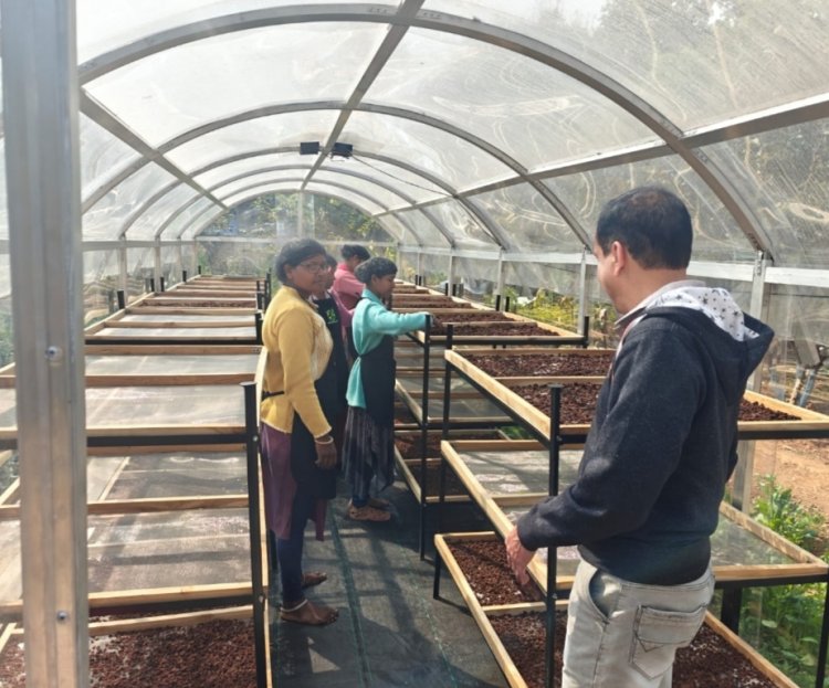 *जशपुर में चल रही DST प्रायोजित परियोजना के तहत सोलर टनल ड्रायर की स्थापना,खाद्य ग्रेड महुआ और वनौशधी के प्रसंस्करण को मिला वैज्ञानिक आधार*