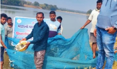 *मछली पालन विभाग द्वारा विभिन्न एनिकट्स में मत्स्य बीज का संचयन*