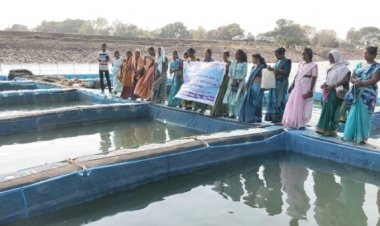 कहाँ के बिहान समूह सदस्यों का लखपति दीदी बनाने एकस्पोजर विजिट हुआ,अब आधुनिक तकनीक से होगा मत्स्य पालन