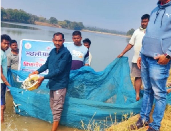 *मछली पालन विभाग द्वारा विभिन्न एनिकट्स में मत्स्य बीज का संचयन*