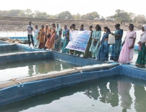 कहाँ के बिहान समूह सदस्यों का लखपति दीदी बनाने एकस्पोजर विजिट हुआ,अब आधुनिक तकनीक से होगा मत्स्य पालन