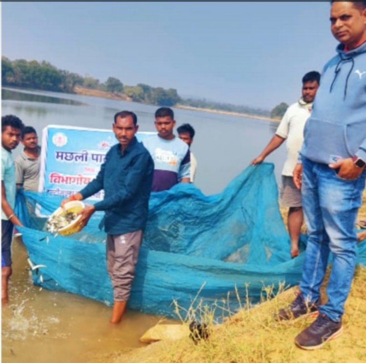 *मछली पालन विभाग द्वारा विभिन्न एनिकट्स में मत्स्य बीज का संचयन*