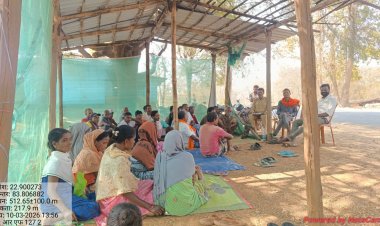 जंगल एवं अग्नि सुरक्षा संबंधी प्रचार हेतु गांव रेगुलर  वन विभाग एवं सरपंच,उपसरपंच ने की बैठक,बनाई गयी समिति पुरी खबर पढ़ें