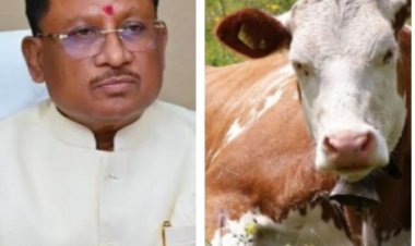 मुख्यमंत्री ने राज्य में गौधाम योजना का किया शुभारम्भ,मुख्यमंत्री श्री विष्णुदेव साय ने कहा गौवंश संरक्षण एवं संवर्धन से...पुरी जानकारी के लिए  पढ़ें बोलती खबर..