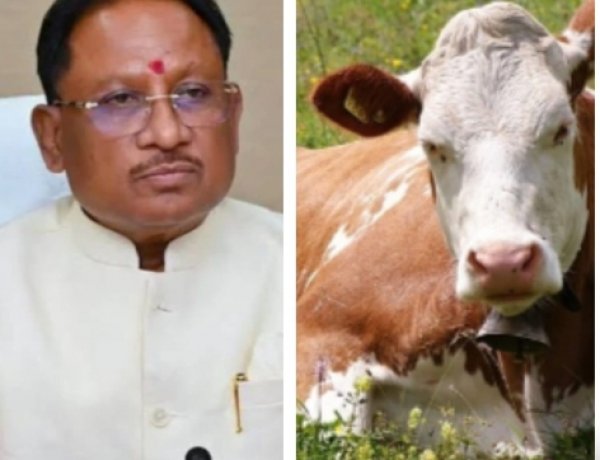 मुख्यमंत्री ने राज्य में गौधाम योजना का किया शुभारम्भ,मुख्यमंत्री श्री विष्णुदेव साय ने कहा गौवंश संरक्षण एवं संवर्धन से...पुरी जानकारी के लिए  पढ़ें बोलती खबर..