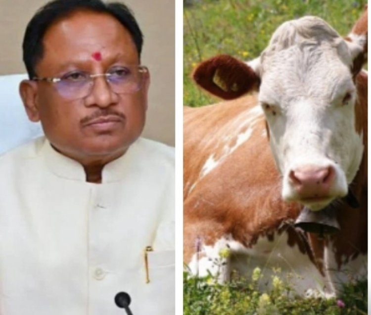 मुख्यमंत्री ने राज्य में गौधाम योजना का किया शुभारम्भ,मुख्यमंत्री श्री विष्णुदेव साय ने कहा गौवंश संरक्षण एवं संवर्धन से...पुरी जानकारी के लिए  पढ़ें बोलती खबर..