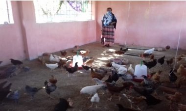 बर्ड फ़्लू की रोकथाम हेतु रेपिड रिपोंस टीम का गठन,कहाँ कहाँ जाएंगे ये टीम पुरी जानने के लिए पढ़ें ....