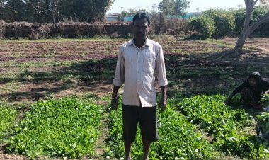 मधुसूधन यादव के लिए डबरी बना आय का स्थायी साधन,,  डबरी बनाकर मधुसुधन यादव कमा रहा है लाखों रुपये,,,