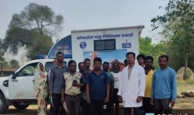 पशु बीमारी की स्थिति नियंत्रण में,,ग्राम रजौटी में पशु चिकित्सा विभाग ने टीम भेजकर किया उपचार