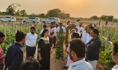 प्रमुख सचिव ने किया पंचायत विभाग के कार्यों का निरीक्षण,,,कौन कौन सी पंचायत और क्या क्या विषय को लेकर गंभीर दिखे पुरी जानकारी पढ़ लीजिये