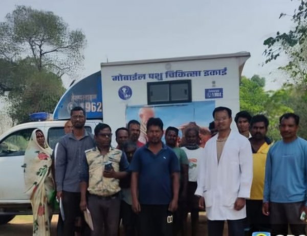 पशु बीमारी की स्थिति नियंत्रण में,,ग्राम रजौटी में पशु चिकित्सा विभाग ने टीम भेजकर किया उपचार