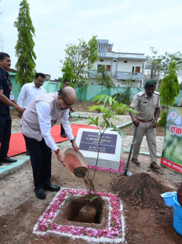 राज्यपाल श्री डेका  ने जशपुर मातृत्व वन मे सीता अशोक के पौधे का रोपण किये,