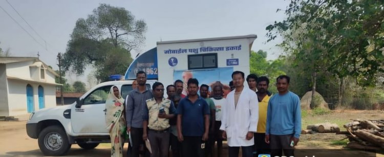 पशु बीमारी की स्थिति नियंत्रण में,,ग्राम रजौटी में पशु चिकित्सा विभाग ने टीम भेजकर किया उपचार