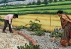 विश्व पर्यावरण दिवस पर वेस्ट पार्क में गुंजा हरित संदेश