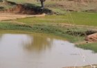 वर्षा जल की हर बूंद सहेज रहा नीमगांव, जल संरक्षण में रच रहा नया इतिहास