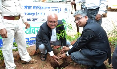 विश्व पर्यावरण दिवस पर जिला न्यायालय परिसर में  पौधे लगाकर दिया गया पर्यावरण संरक्षण का संदेश