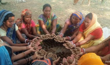 सीड बॉल बनाकर प्रकृति बचाने की तैयारी,वनीकरण पर जोर