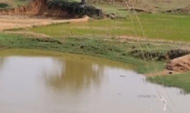 वर्षा जल की हर बूंद सहेज रहा नीमगांव, जल संरक्षण में रच रहा नया इतिहास