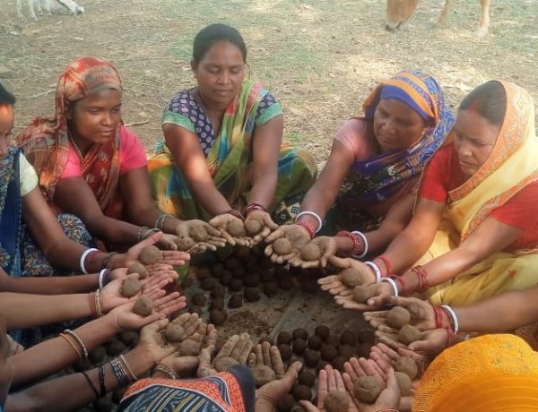 सीड बॉल बनाकर प्रकृति बचाने की तैयारी,वनीकरण पर जोर
