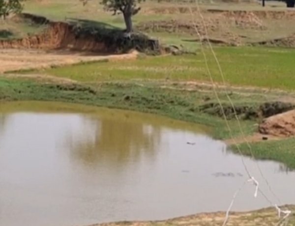 वर्षा जल की हर बूंद सहेज रहा नीमगांव, जल संरक्षण में रच रहा नया इतिहास
