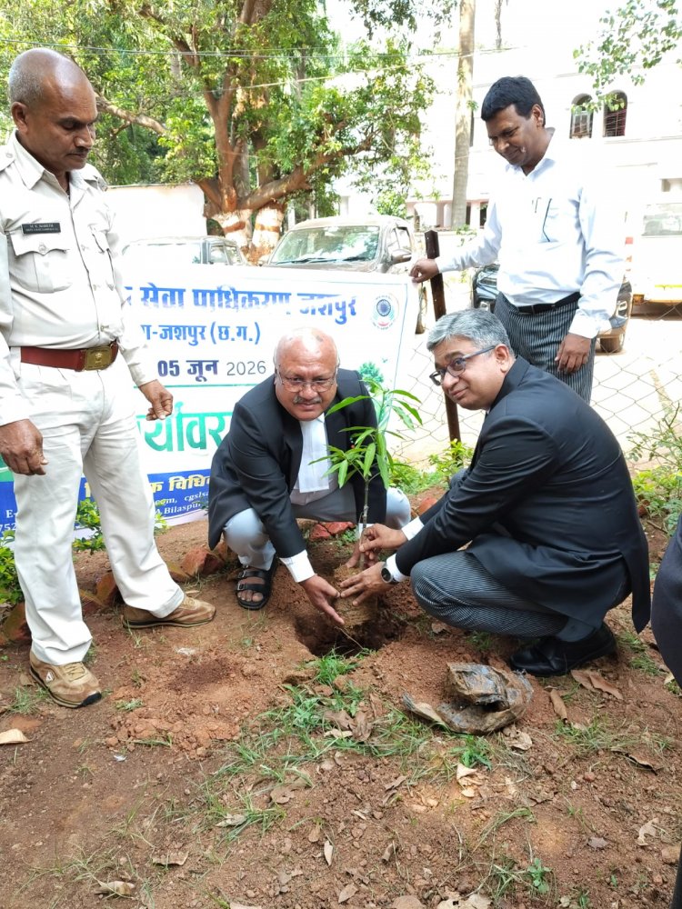 विश्व पर्यावरण दिवस पर जिला न्यायालय परिसर में  पौधे लगाकर दिया गया पर्यावरण संरक्षण का संदेश