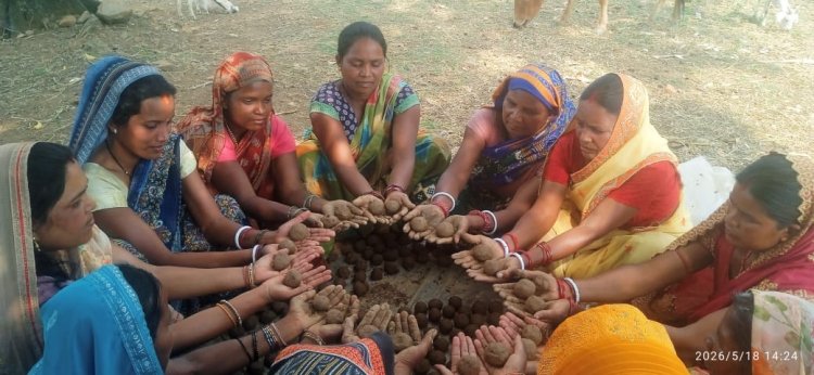 सीड बॉल बनाकर प्रकृति बचाने की तैयारी,वनीकरण पर जोर