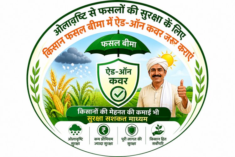फसल बीमा में ऐड-ऑन कवर अपनाएं, मेहनत की कमाई को सुरक्षित बनाएं