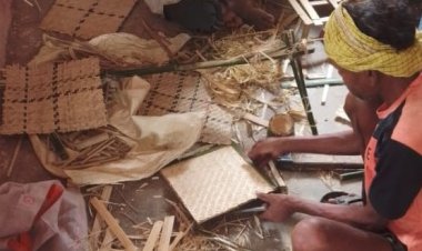 जशपुर में बांस शिल्प का नया अध्याय, आधुनिक प्रशिक्षण से आत्मनिर्भर बनेंगे कारीगर