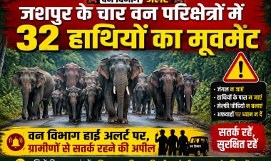जशपुर के चार वन परिक्षेत्रों में 32 हाथियों का मूवमेंट, वन विभाग हाई अलर्ट पर; ग्रामीणों से सतर्क रहने की अपील