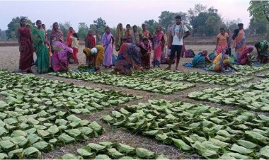 तेन्दूपत्ता संग्राहकों की हुई बल्ले-बल्ले, करोड़ों की राशि सीधे खातों मे ,, तेन्दूपत्ता संग्राहकों के खातों में पहुंचे 16.37 करोड़ रुपये