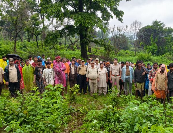 अतिक्रमणकारियों पर वन विभाग का बड़ा प्रहार, 3 हेक्टेयर वनभूमि मुक्त कर 5,000 पौधों से किया हराभरा