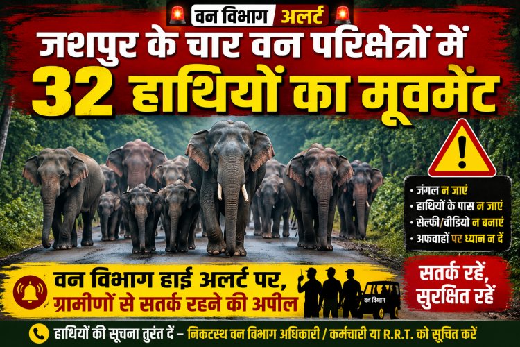 जशपुर के चार वन परिक्षेत्रों में 32 हाथियों का मूवमेंट, वन विभाग हाई अलर्ट पर; ग्रामीणों से सतर्क रहने की अपील