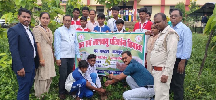 "माँ के नाम हर पौधा, हरियाली का जनआंदोलन बना जशपुर... विद्यार्थियों और जनप्रतिनिधियों ने लिया संरक्षण का संकल्प"