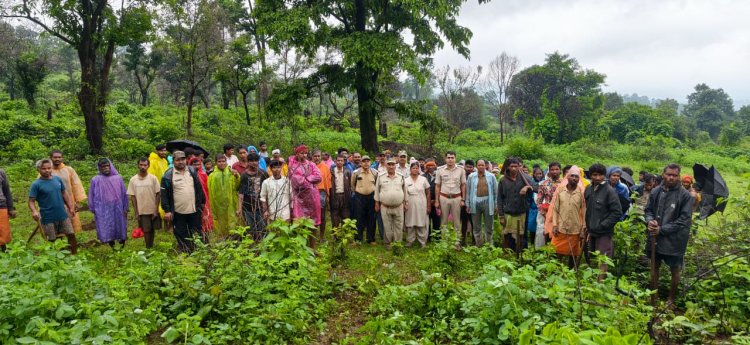 अतिक्रमणकारियों पर वन विभाग का बड़ा प्रहार, 3 हेक्टेयर वनभूमि मुक्त कर 5,000 पौधों से किया हराभरा