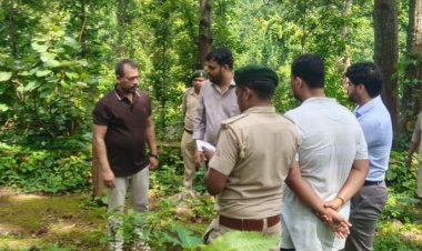 जशपुर के भैरव पहाड़ और पर्यावरण वाटिका का पीसीसीएफ अरूण पाण्डेय ने किया निरीक्षण, प्रकृति-आस्था और जनजातीय संस्कृति के संरक्षण पर जोर भैरव पहाड़ को जनजातीय परंपरा और धार्मिक आस्था के अनुरूप विकसित करने के निर्देश