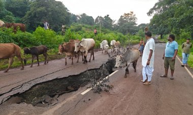 कैलाश गुफा जाने वाली सड़क धंसी, बिना बैरिकेडिंग के आवाजाही बनी खतरा