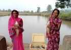 मेहनत का जाल, समृद्धि की मछली: जशपुर की महिलाओं ने तालाब से बदली जिंदगी