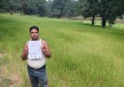 खसरा ऑनलाइन हुआ तो खुली खुशियों की राह, वन अधिकार पट्टे से चंद्रेश को मिला धान बिक्री का हक