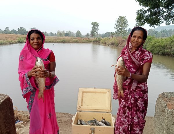 मेहनत का जाल, समृद्धि की मछली: जशपुर की महिलाओं ने तालाब से बदली जिंदगी