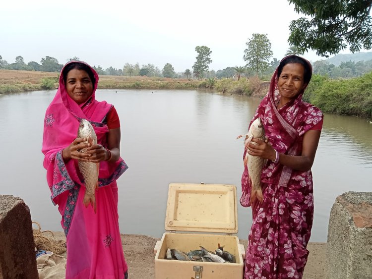 मेहनत का जाल, समृद्धि की मछली: जशपुर की महिलाओं ने तालाब से बदली जिंदगी