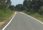 मुख्यमंत्री विष्णुदेव साय की पहल पर माझाटोली को मिली सड़क की सौगात, निर्माण पूरा होने पर ग्रामीणों ने जताया आभार